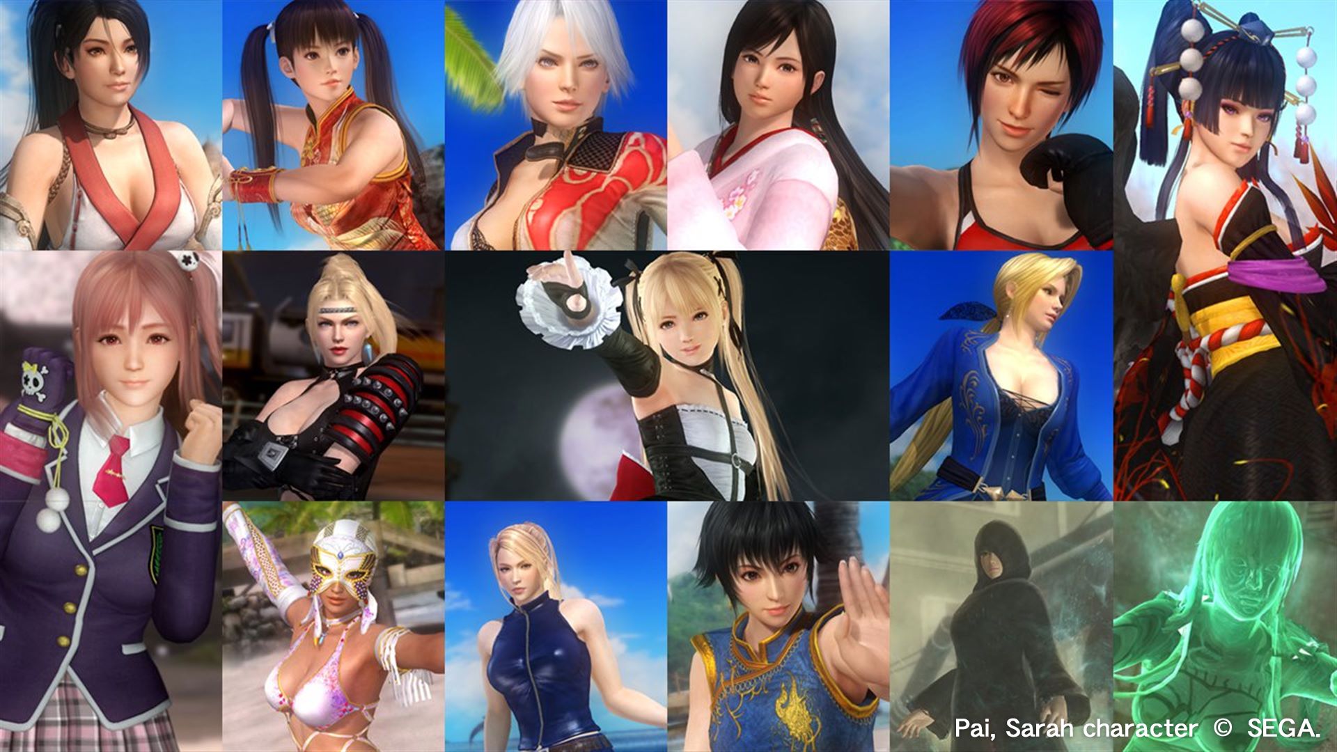 Dead Or Alive 5 Last Round Core Fighters「30キャラクター」使用権セット を購入 