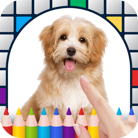 Dog Puzzles - Jigsaw Puzzle Game for Kids with Real Pictures of Cute  Puppies and Dogs::Appstore for Android