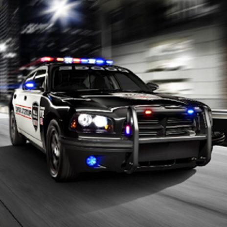 Buy Crazy Police Car Driving Simulation - Microsoft Store en-TT