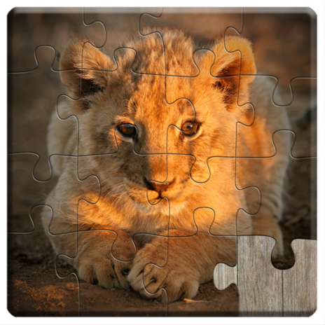 Favorite Puzzles - free classic hd puzzle jigsaw game for kids and adults -  Microsoft Apps