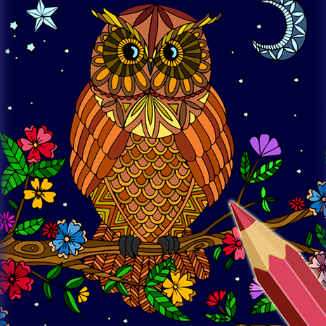 Coloring Book for Adults: Amazing Owls: Owls Coloring Book with