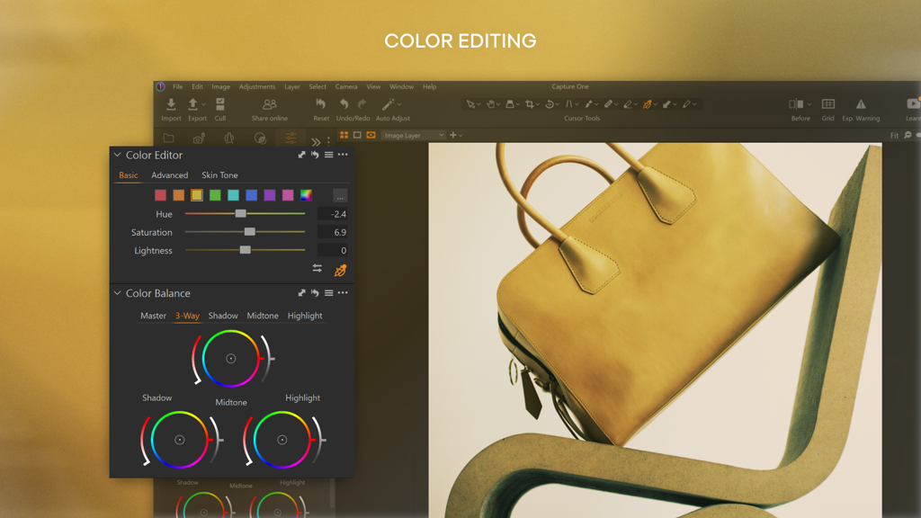 Advanced Color Editor - Capture One