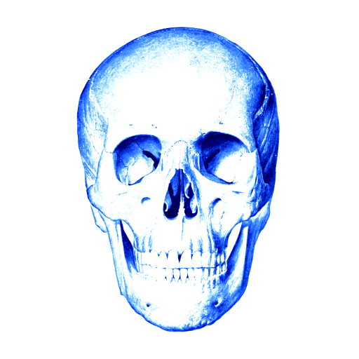 Skull: Anatomy, structure, bones, quizzes