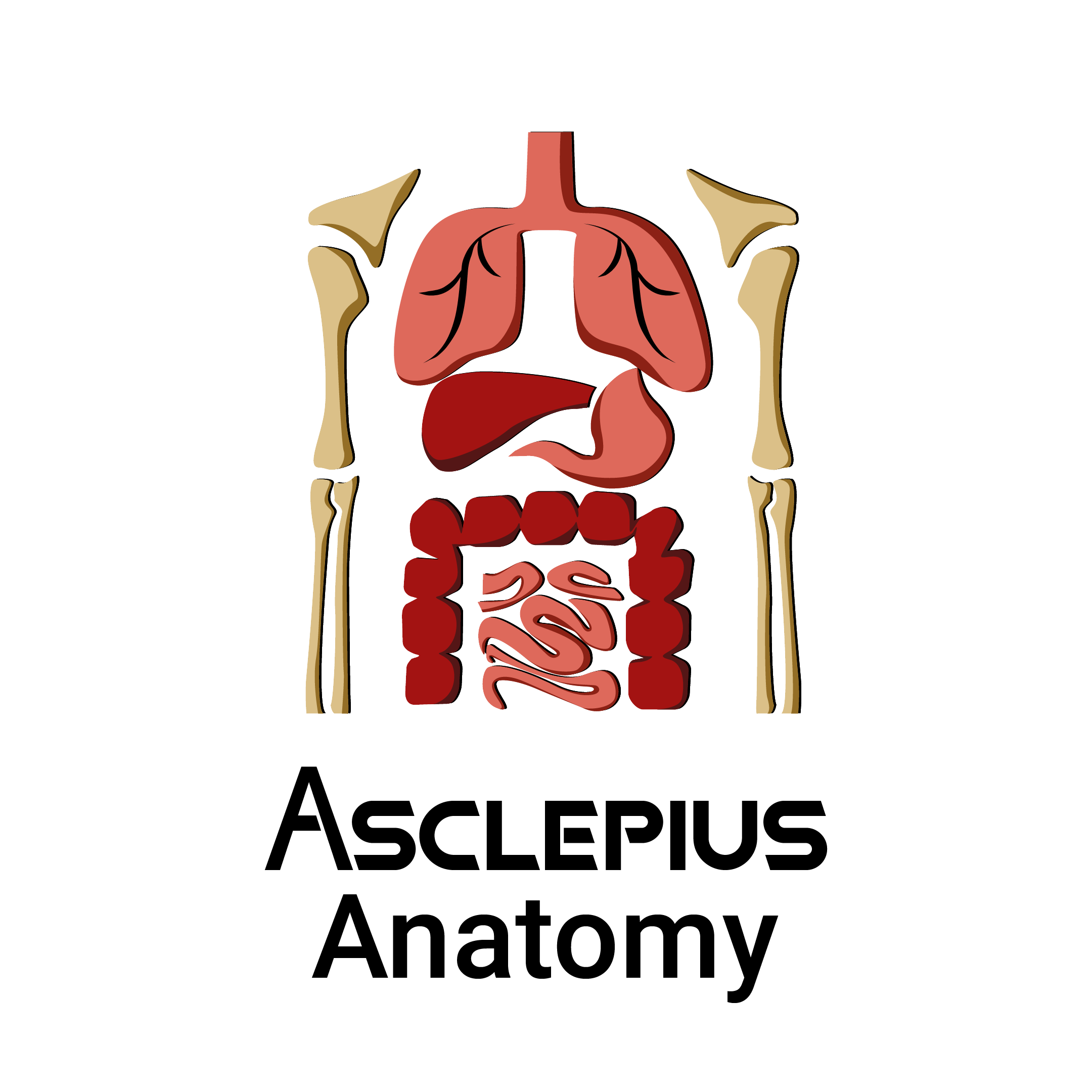 Asclepius Anatomy Online