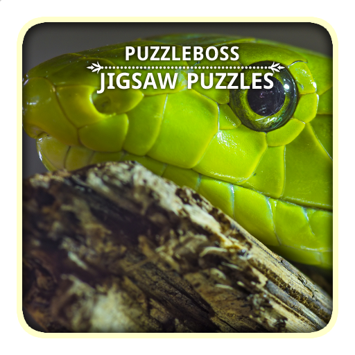 Favorite Puzzles - free classic hd puzzle jigsaw game for kids and adults -  Microsoft Apps