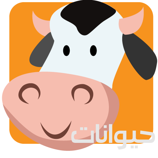 learn animals name for kids - تطبيق رسمي في Microsoft Store