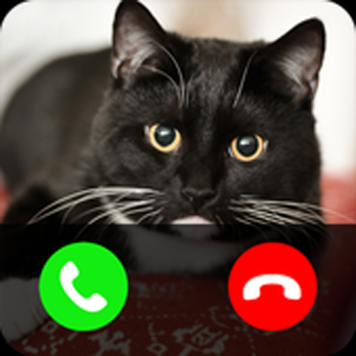 Angry Cat Prank Meme Button – Apps on Google Play