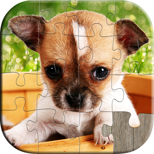 5 Fun Puppy Games: Playing With Puppies