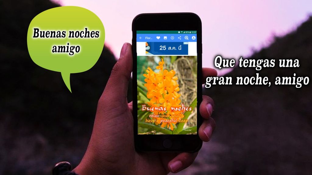 Buenas Noches: Frases e Imágenes Bonitas - Microsoft Apps