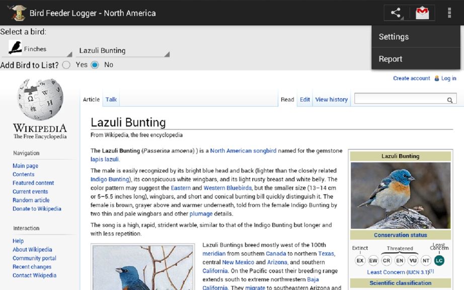Bird feeder - Wikipedia