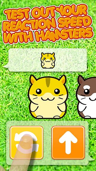 Hamster Dojo - Best Fun Pocket Games Play With My Littlest Pet Hamsters -  Microsoft Apps