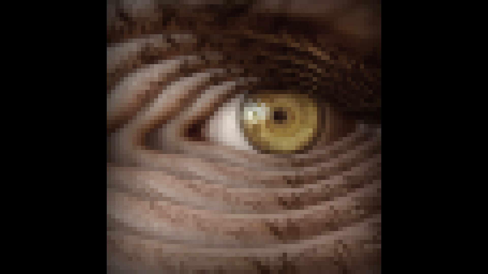 Icon for Recursive Vision