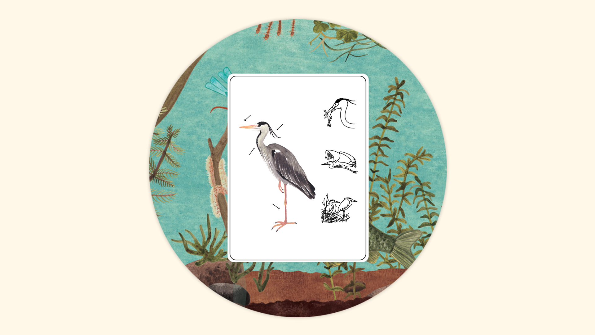 Icon for Pond expert