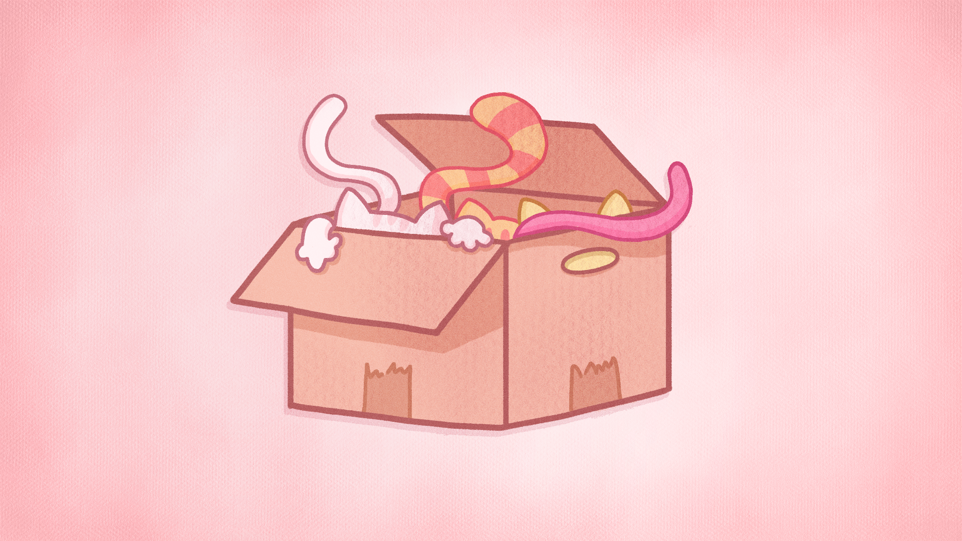 Icon for All Cat’s in a Box