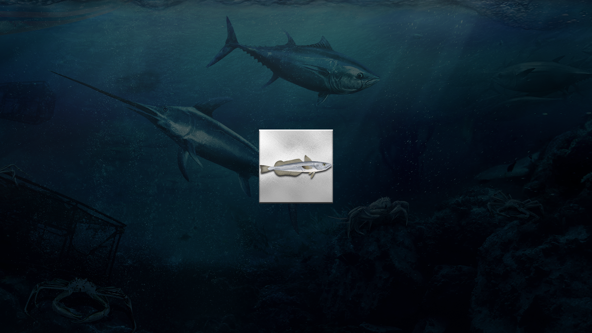 Icon for 10,000 kg Silver Hake