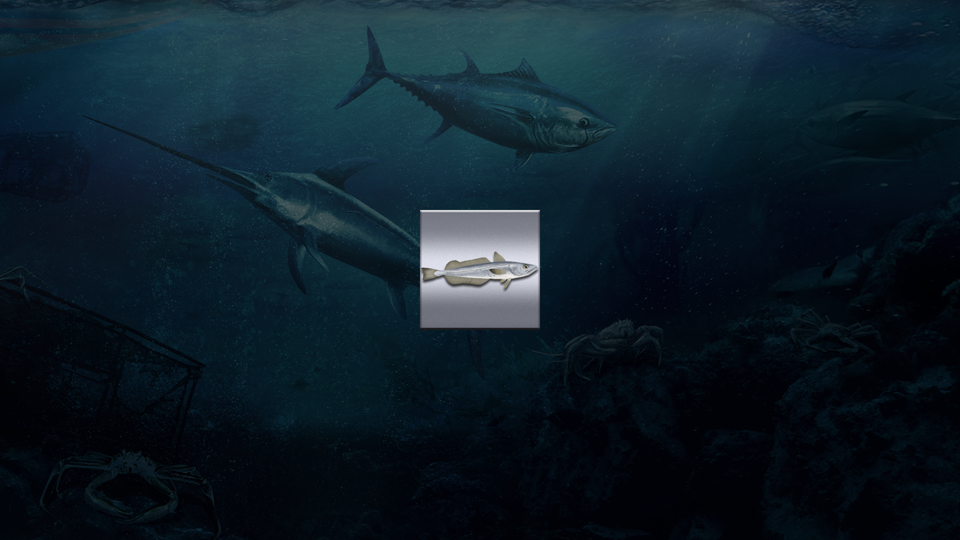 Icon for 100 kg Silver Hake