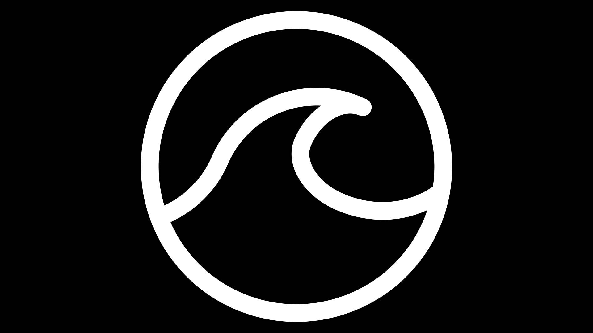 Icon for EXPERT SURFER