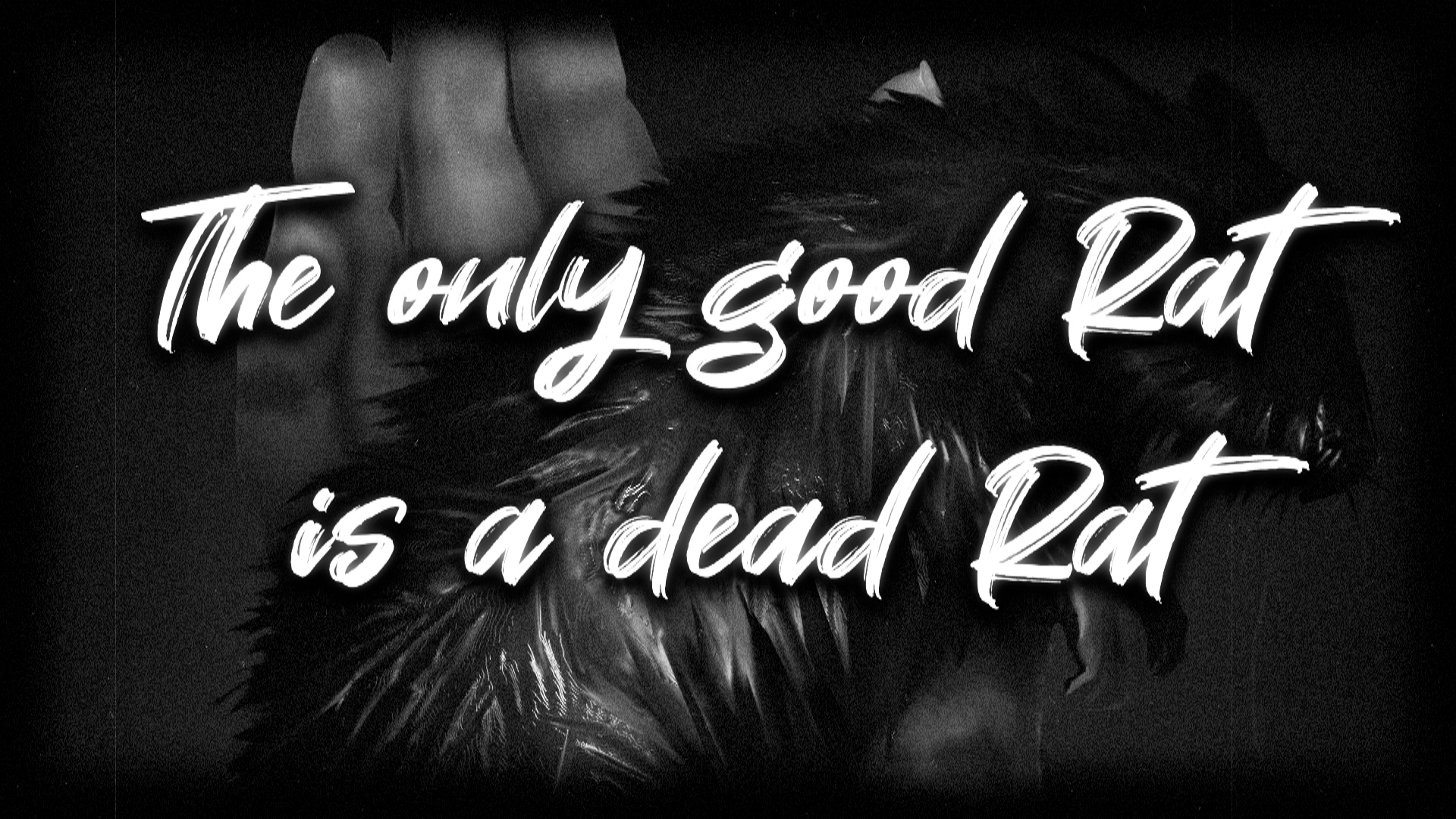 The only good Rat is a dead Rat