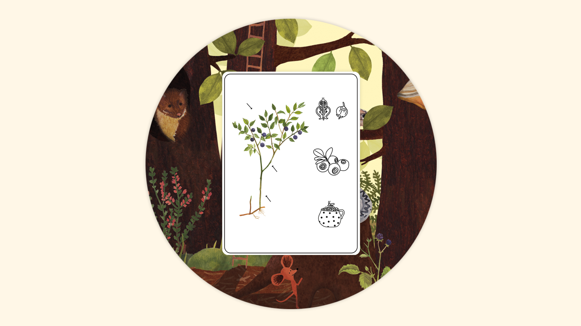 Icon for Forest expert