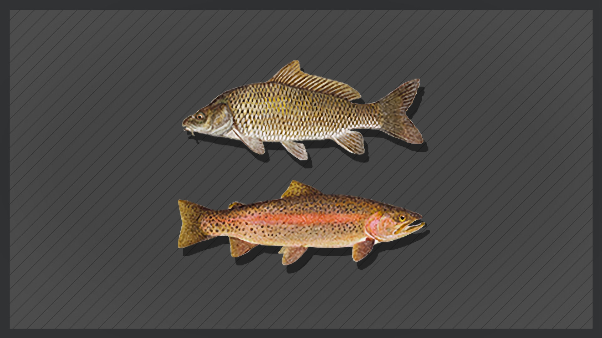 Icon for Fish farming