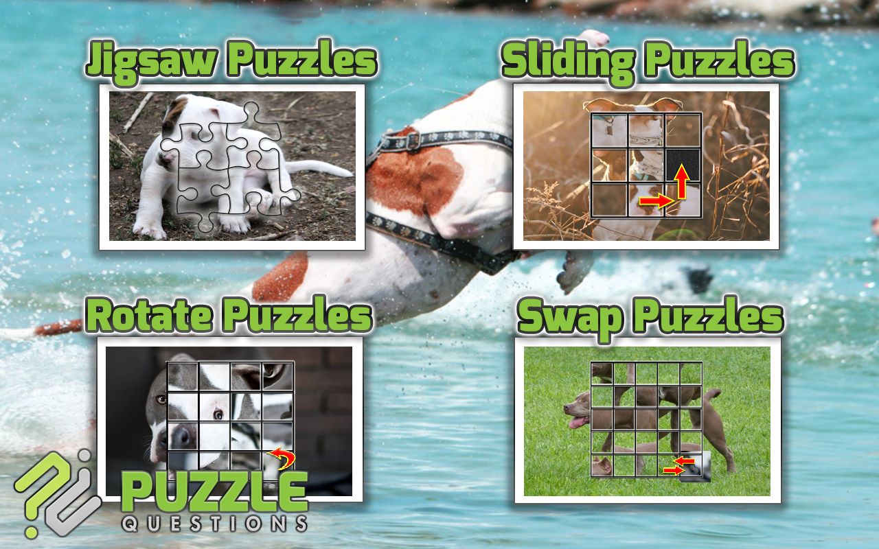 Pitbulls Dogs Jigsaw Puzzle Games - Microsoft-appar