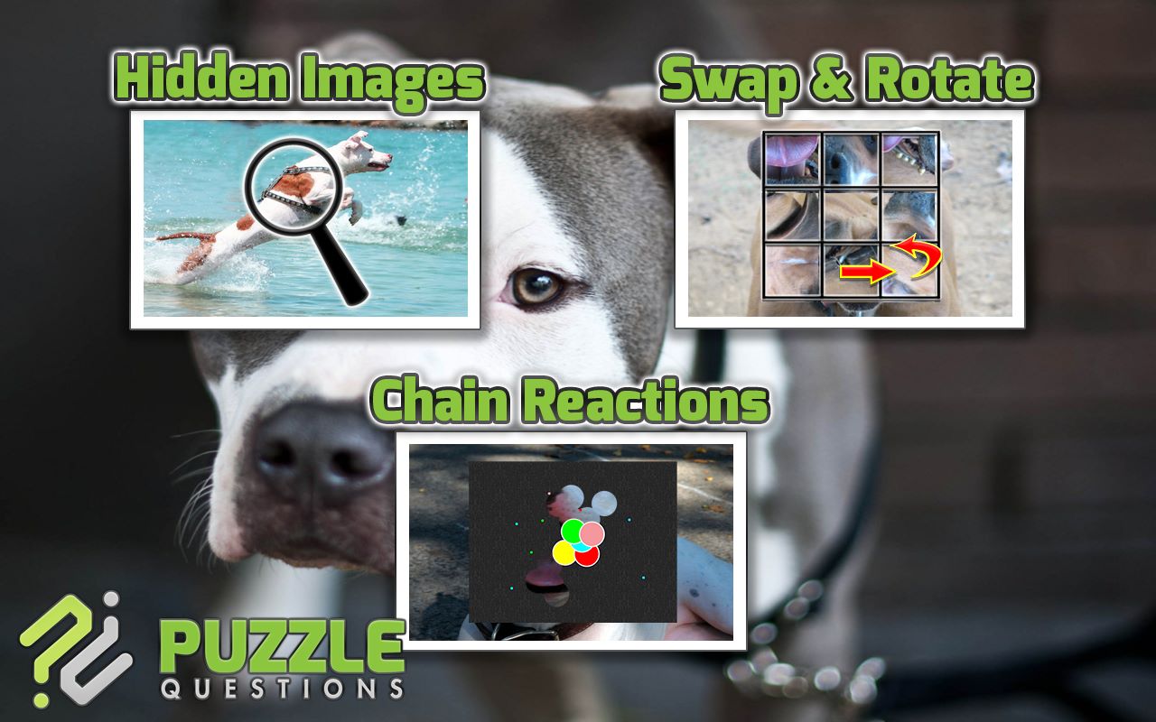 Pitbulls Dogs Jigsaw Puzzle Games - Microsoft-appar