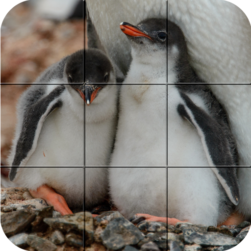 Tile Puzzle - Penguins