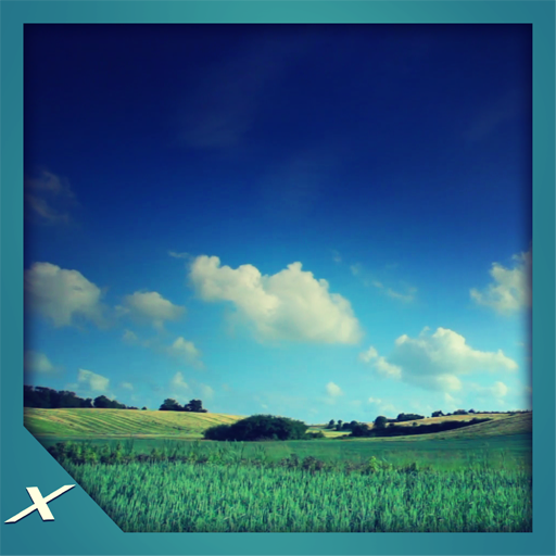 Grassy Lands - Lush Green Scenery for Your Screen