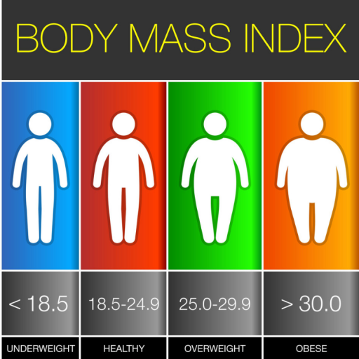 BMI-Calculator | Body mass Index Calculator For free | By Jaidan Maity
