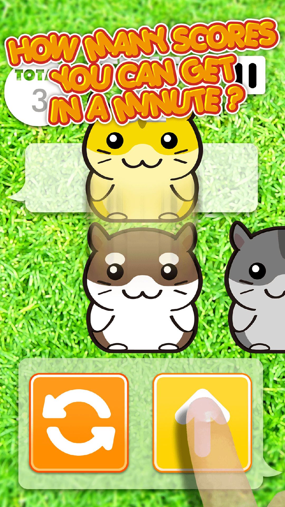 Hamster Dojo - Best Fun Pocket Games Play With My Littlest Pet