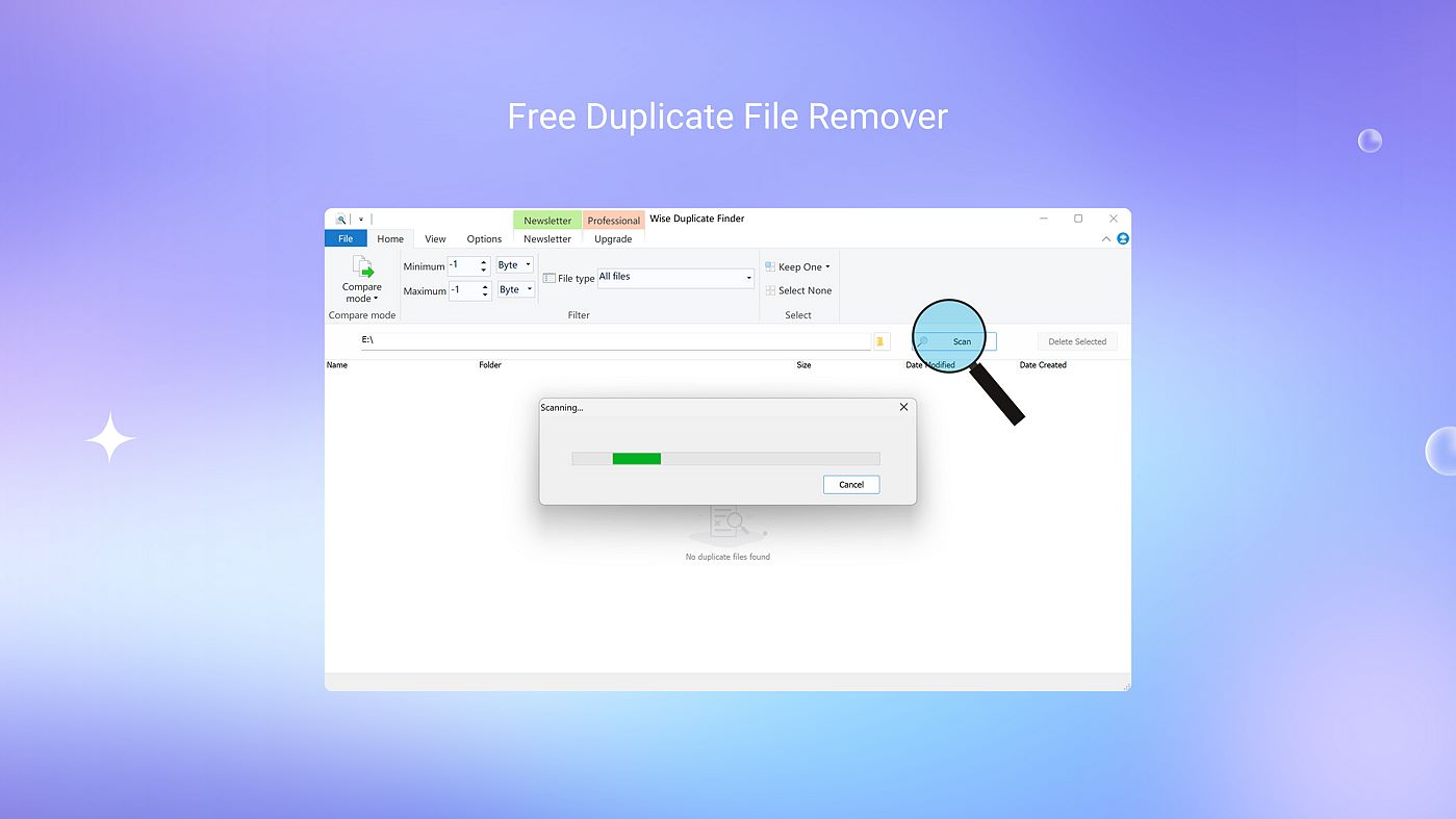 Wise Duplicate Finder - PC - (Windows)