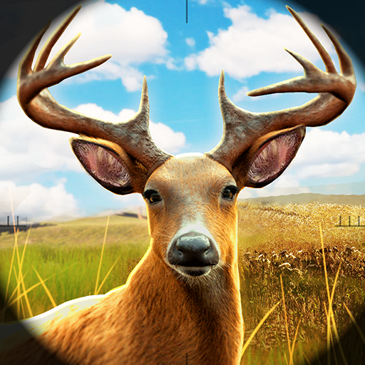 Sniper Deer Wild Hunt Shooting Game
