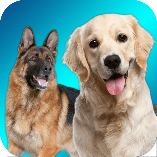 Dog Games For Kids Free: Dog Barking Sounds, Real Puppy Puzzle and Matching  Game - Microsoft Apps