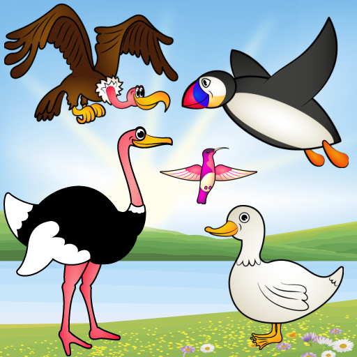 Birds Game for Toddlers : Bird Species Puzzle ! Educational Puzzles Games