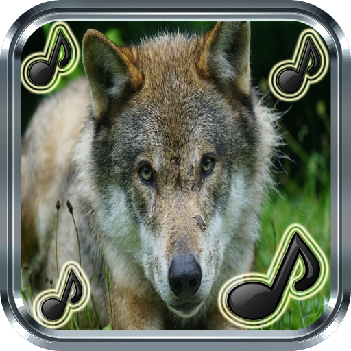 Sounds Of Wolves