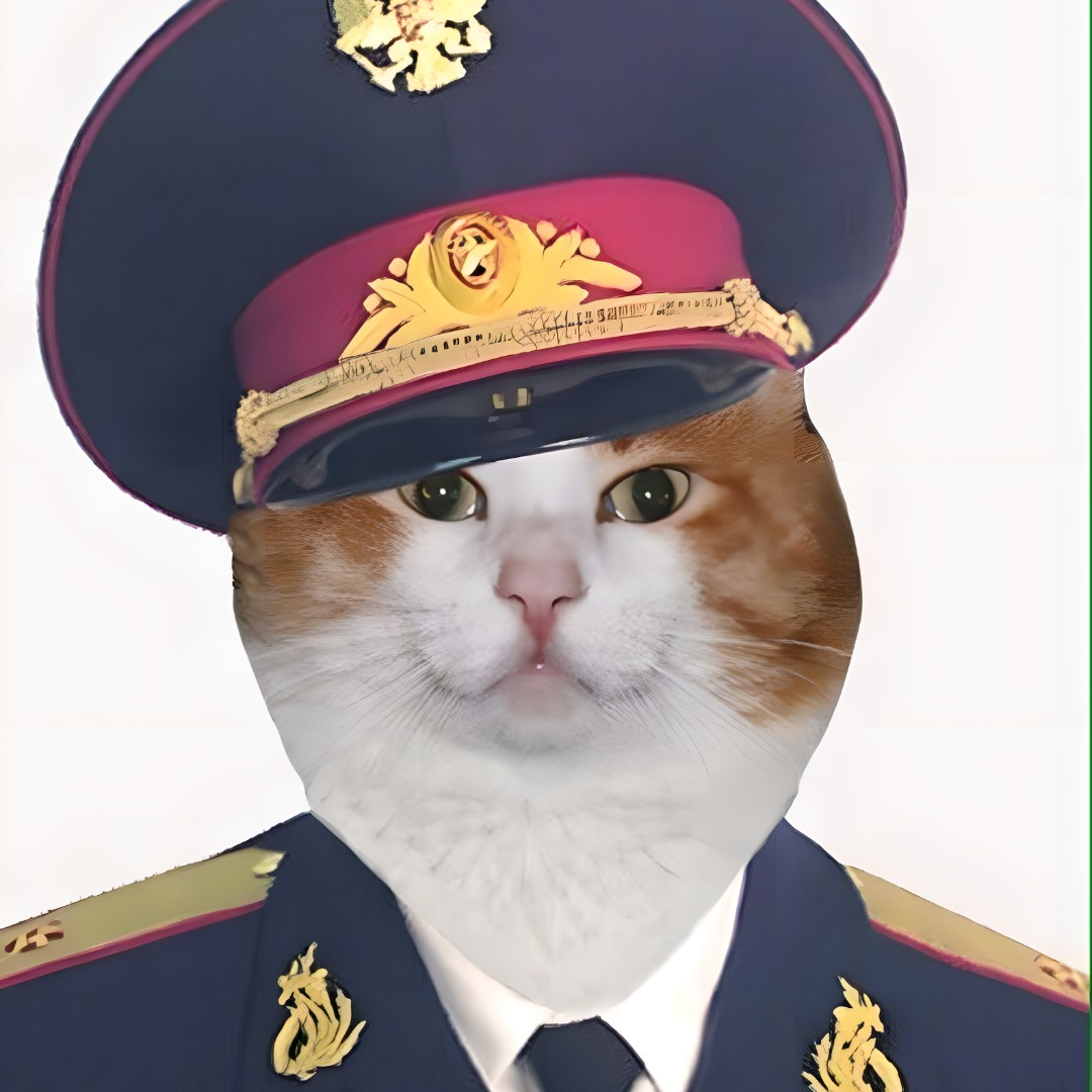 Кот милиционер. Кот полицейский. Кот в фуражке. Кот генерал. Кот в форме.