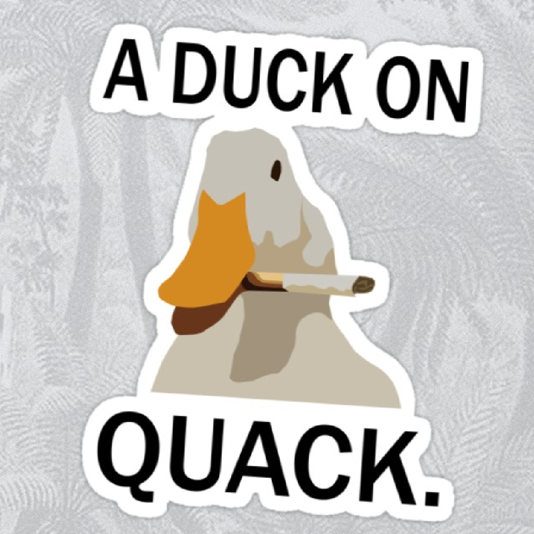 DuckONQuack247