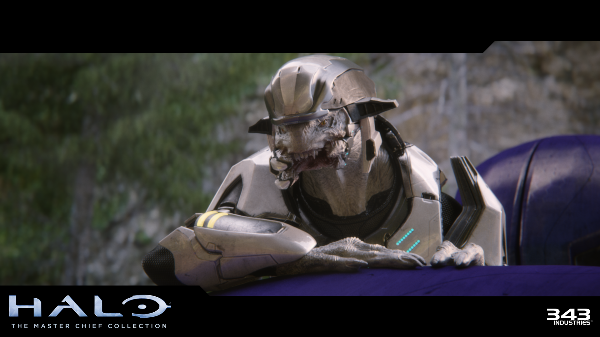 Icon for Skulltaker Halo 2: Mythic